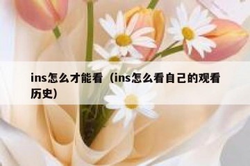 ins怎么才能看（ins怎么看自己的观看历史）