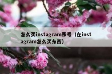 怎么买instagram账号（在instagram怎么买东西）