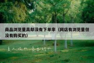 商品浏览量高却没有下单率（网店有浏览量但没有购买的）