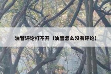 油管评论打不开（油管怎么没有评论）