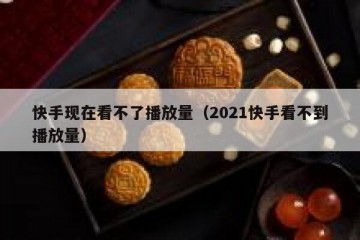 快手现在看不了播放量（2021快手看不到播放量）