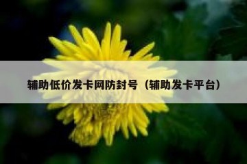 辅助低价发卡网防封号（辅助发卡平台）
