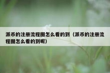 派币的注册流程图怎么看的到（派币的注册流程图怎么看的到呢）