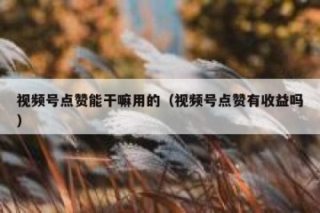 视频号点赞能干嘛用的（视频号点赞有收益吗）