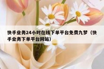 快手业务24小时在线下单平台免费九梦（快手业务下单平台网站）