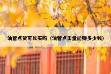 油管点赞可以买吗（油管点击量能赚多少钱）