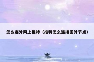 怎么连外网上推特（推特怎么连接国外节点）