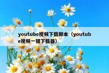 youtube视频下载脚本（youtube视频一键下载器）