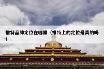 推特品牌定位在哪里（推特上的定位是真的吗）