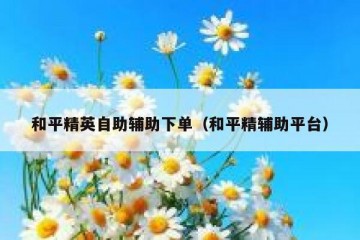 和平精英自助辅助下单（和平精辅助平台）