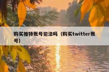 购买推特账号犯法吗（购买twitter账号）