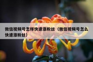 微信视频号怎样快速涨粉丝（微信视频号怎么快速涨粉丝）