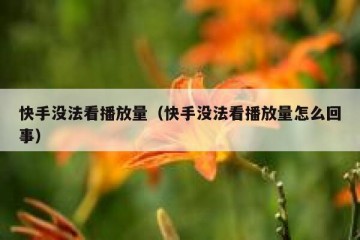 快手没法看播放量（快手没法看播放量怎么回事）