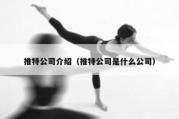 推特公司介绍（推特公司是什么公司）