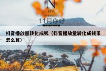 抖音播放量转化成钱（抖音播放量转化成钱币怎么算）
