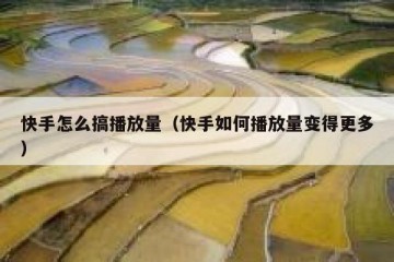 快手怎么搞播放量（快手如何播放量变得更多）