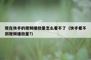 现在快手的视频播放量怎么看不了（快手看不到视频播放量?）