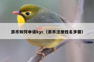 派币如何申请kyc（派币注册姓名步骤）