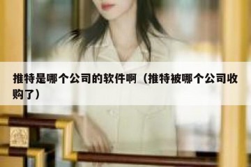 推特是哪个公司的软件啊（推特被哪个公司收购了）
