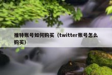 推特账号如何购买（twitter账号怎么购买）