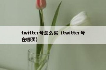 twitter号怎么买（twitter号在哪买）