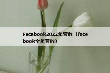 Facebook2022年营收（facebook全年营收）