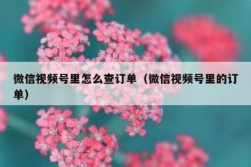微信视频号里怎么查订单（微信视频号里的订单）