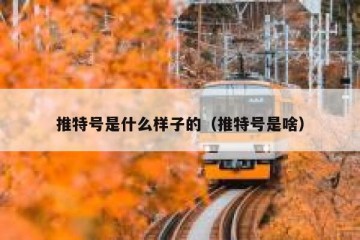 推特号是什么样子的（推特号是啥）