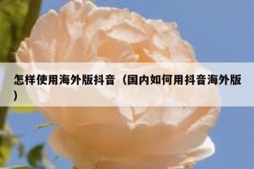 怎样使用海外版抖音（国内如何用抖音海外版）