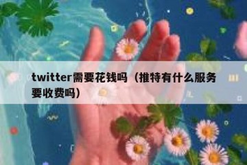 twitter需要花钱吗（推特有什么服务要收费吗）
