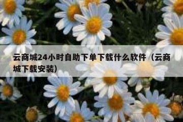 云商城24小时自助下单下载什么软件（云商城下载安装）
