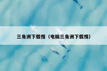 三角洲下载慢（电脑三角洲下载慢）