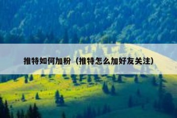 推特如何加粉（推特怎么加好友关注）
