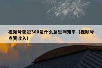视频号获赞300是什么意思啊知乎（视频号点赞收入）