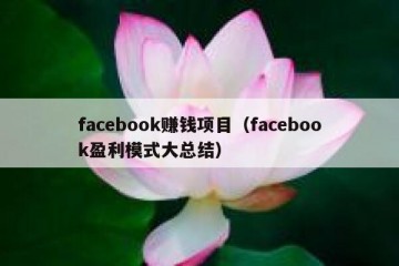 facebook赚钱项目（facebook盈利模式大总结）