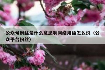 公众号粉丝是什么意思啊网络用语怎么说（公众平台粉丝）