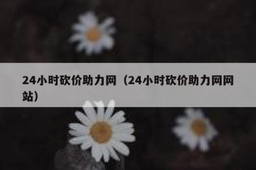 24小时砍价助力网（24小时砍价助力网网站）