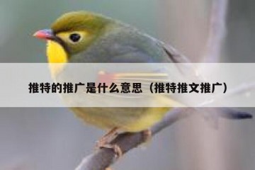 推特的推广是什么意思（推特推文推广）