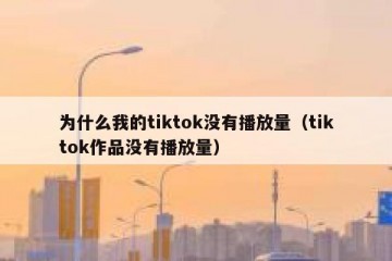 为什么我的tiktok没有播放量（tiktok作品没有播放量）