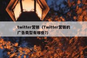 twitter营销（Twitter营销的广告类型有哪些?）