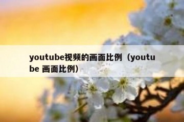 youtube视频的画面比例（youtube 画面比例）