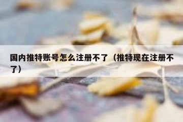 国内推特账号怎么注册不了（推特现在注册不了）