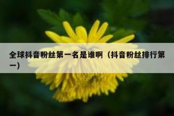全球抖音粉丝第一名是谁啊（抖音粉丝排行第一）
