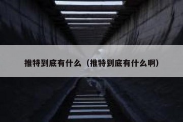 推特到底有什么（推特到底有什么啊）