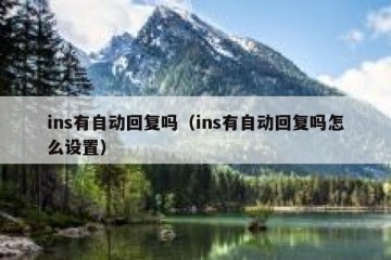 ins有自动回复吗（ins有自动回复吗怎么设置）