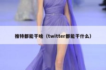 推特都能干啥（twitter都能干什么）