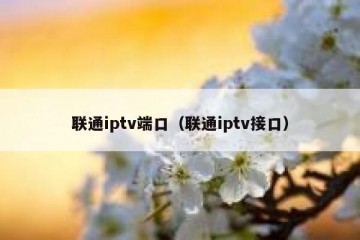 联通iptv端口（联通iptv接口）