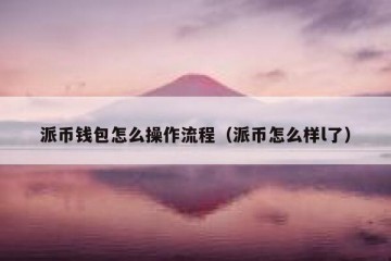 派币钱包怎么操作流程（派币怎么样l了）