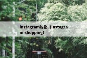 instagram购物（instagram shopping）