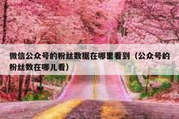 微信公众号的粉丝数据在哪里看到（公众号的粉丝数在哪儿看）